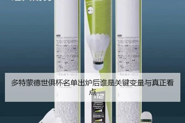 多特蒙德世俱杯名单出炉后谁是关键变量与真正看点（huya）