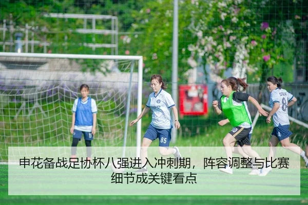 申花备战足协杯八强进入冲刺期，阵容调整与比赛细节成关键看点 | huya